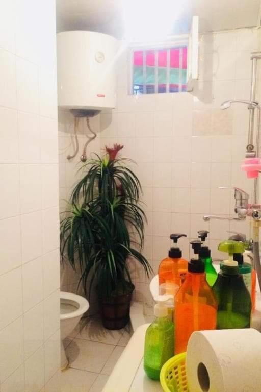 Lika'S Hause Daire Tiflis Dış mekan fotoğraf